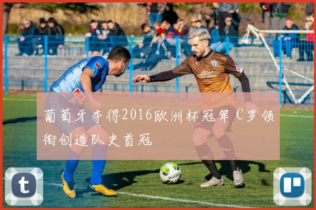 葡萄牙夺得2016欧洲杯冠军 C罗领衔创造队史首冠
