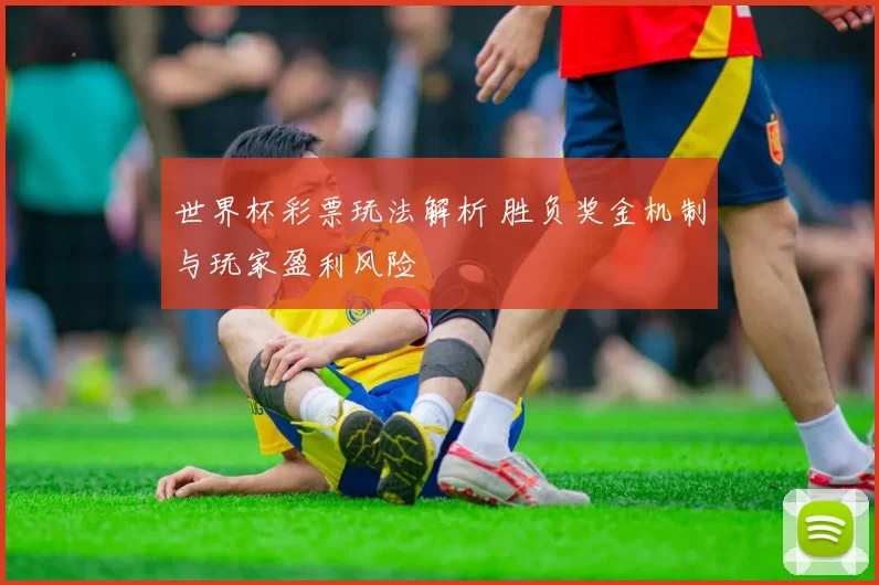 世界杯彩票玩法解析 胜负奖金机制与玩家盈利风险